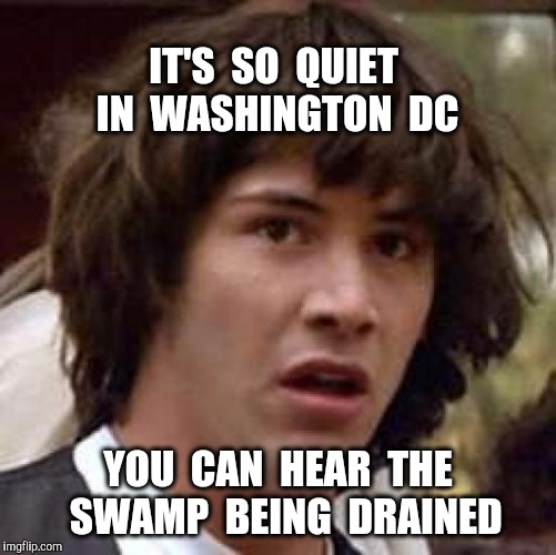 Lobbyists and Patronizing is done | IT'S  SO  QUIET  IN  WASHINGTON  DC; YOU  CAN  HEAR  THE  SWAMP  BEING  DRAINED | image tagged in memes,conspiracy keanu,drain the swamp,washington dc | made w/ Imgflip meme maker