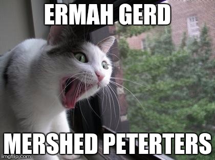 Screaming Cat | ERMAH GERD; MERSHED PETERTERS | image tagged in screaming cat | made w/ Imgflip meme maker