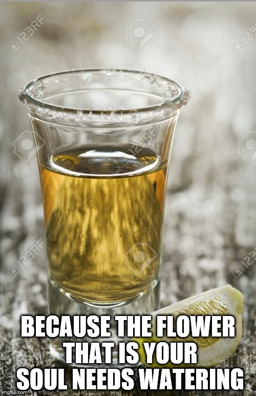 soul | BECAUSE THE FLOWER THAT IS YOUR SOUL NEEDS WATERING | image tagged in tequila | made w/ Imgflip meme maker