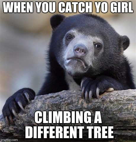 Confession Bear Meme | WHEN YOU CATCH YO GIRL; CLIMBING A DIFFERENT TREE | image tagged in memes,confession bear | made w/ Imgflip meme maker
