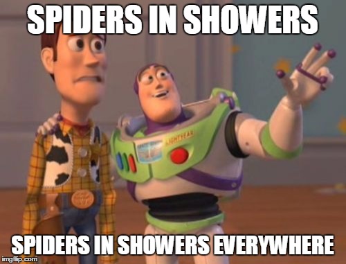 X, X Everywhere Meme | SPIDERS IN SHOWERS SPIDERS IN SHOWERS EVERYWHERE | image tagged in memes,x x everywhere | made w/ Imgflip meme maker
