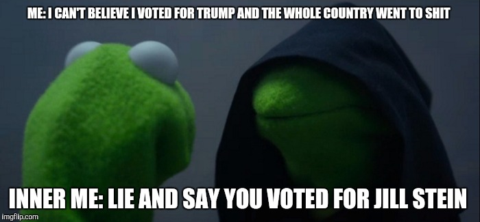 Evil Kermit | ME: I CAN'T BELIEVE I VOTED FOR TRUMP AND THE WHOLE COUNTRY WENT TO SHIT; INNER ME: LIE AND SAY YOU VOTED FOR JILL STEIN | image tagged in evil kermit | made w/ Imgflip meme maker
