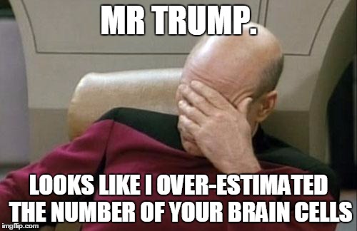 Captain Picard Facepalm Meme | MR TRUMP. LOOKS LIKE I OVER-ESTIMATED THE NUMBER OF YOUR BRAIN CELLS | image tagged in memes,captain picard facepalm | made w/ Imgflip meme maker