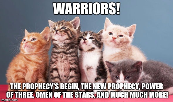 kittens | WARRIORS! THE PROPHECY'S BEGIN, THE NEW PROPHECY, POWER OF THREE, OMEN OF THE STARS, AND MUCH MUCH MORE! | image tagged in kittens | made w/ Imgflip meme maker