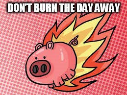 DMB PIG | DON’T BURN THE DAY AWAY | image tagged in dmb,pig,dont burn the day away | made w/ Imgflip meme maker