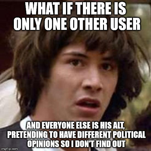 That guy must have a lot of creativity to come up with so many memes | WHAT IF THERE IS ONLY ONE OTHER USER; AND EVERYONE ELSE IS HIS ALT, PRETENDING TO HAVE DIFFERENT POLITICAL OPINIONS SO I DON'T FIND OUT | image tagged in memes,conspiracy keanu,raydog | made w/ Imgflip meme maker