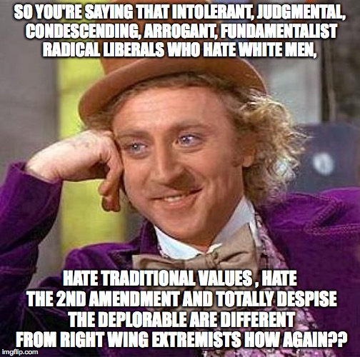 SO YOU'RE SAYING THAT INTOLERANT, JUDGMENTAL, CONDESCENDING, ARROGANT, FUNDAMENTALIST RADICAL LIBERALS WHO HATE WHITE MEN, HATE TRADITIONAL  | image tagged in memes,creepy condescending wonka | made w/ Imgflip meme maker