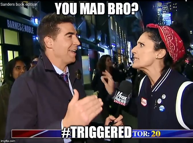YOU MAD BRO? #TRIGGERED | image tagged in triggered,sjw,o'reilly | made w/ Imgflip meme maker