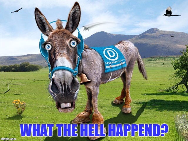 DOH!!! | WHAT THE HELL HAPPEND? | image tagged in democrats | made w/ Imgflip meme maker