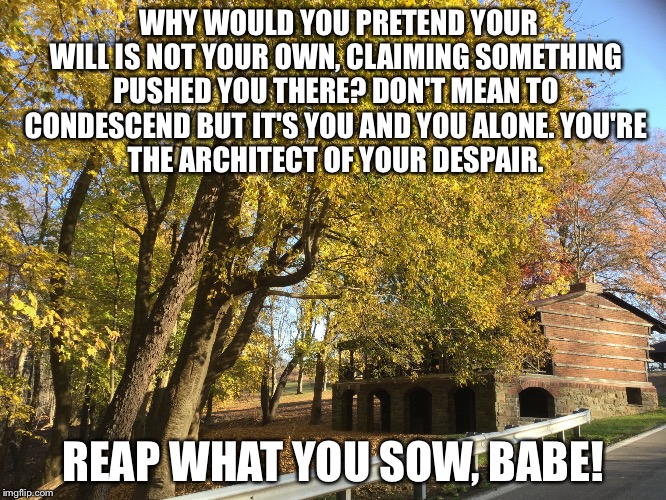 WHY WOULD YOU PRETEND YOUR WILL IS NOT YOUR OWN,
CLAIMING SOMETHING PUSHED YOU THERE?
DON'T MEAN TO CONDESCEND BUT IT'S YOU AND YOU ALONE.
YOU'RE THE ARCHITECT OF YOUR DESPAIR. REAP WHAT YOU SOW, BABE! | image tagged in terry grigg antinatalism | made w/ Imgflip meme maker