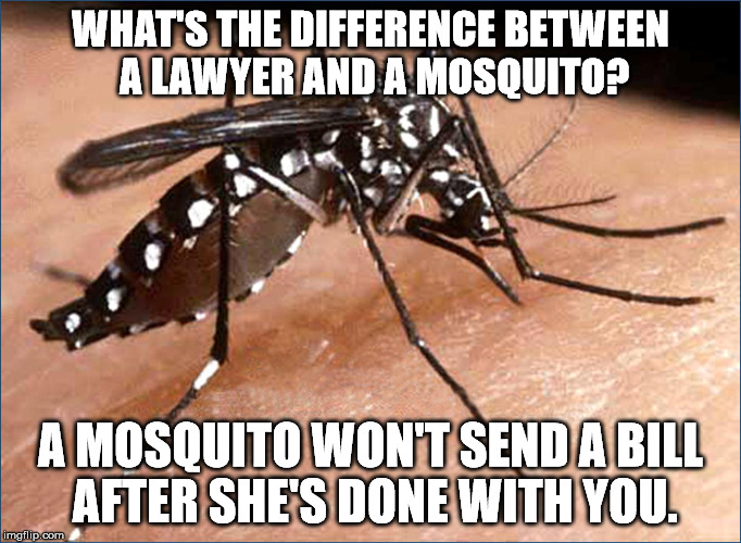 Legal Warning | WHAT'S THE DIFFERENCE BETWEEN A LAWYER AND A MOSQUITO? A MOSQUITO WON'T SEND A BILL AFTER SHE'S DONE WITH YOU. | image tagged in zika virus,lawyer,billing | made w/ Imgflip meme maker