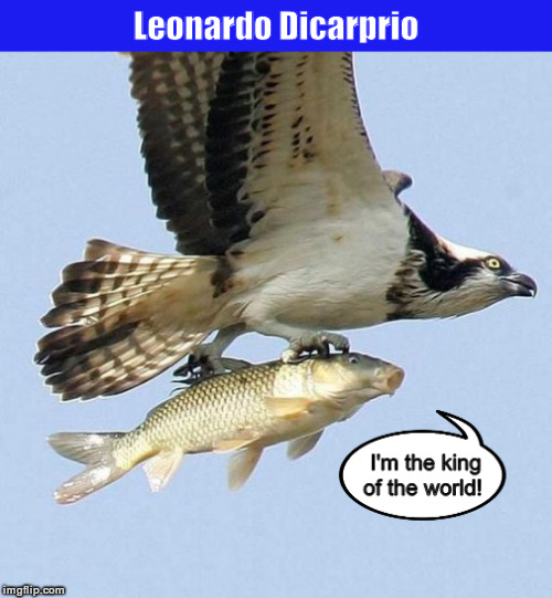 Leonardo Dicarprio | image tagged in leonardo dicaprio,leonardo dicarprio,titanic,i'm the king of the world,funny,memes | made w/ Imgflip meme maker