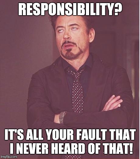 Face You Make Robert Downey Jr | RESPONSIBILITY? IT'S ALL YOUR FAULT THAT I NEVER HEARD OF THAT! | image tagged in memes,face you make robert downey jr | made w/ Imgflip meme maker