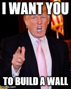 Donald Trump | I WANT YOU; TO BUILD A WALL | image tagged in donald trump | made w/ Imgflip meme maker