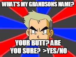 Professor Oak | WHAT'S MY GRANDSONS NAME? YOUR BUTT? ARE YOU SURE?  >YES/NO | image tagged in memes,professor oak | made w/ Imgflip meme maker