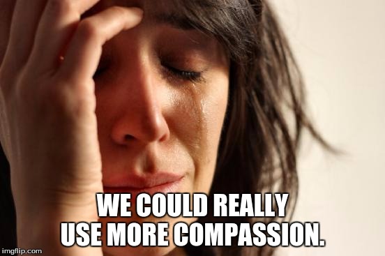 First World Problems Meme | WE COULD REALLY USE MORE COMPASSION. | image tagged in memes,first world problems | made w/ Imgflip meme maker