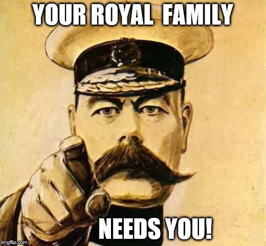 Your Country Needs YOU | YOUR ROYAL 
FAMILY; NEEDS YOU! | image tagged in your country needs you | made w/ Imgflip meme maker