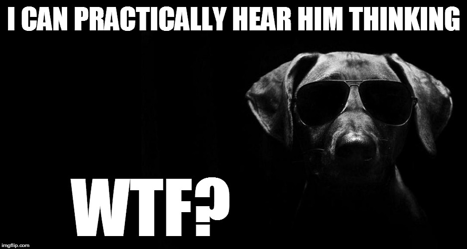 I CAN PRACTICALLY HEAR HIM THINKING WTF? | made w/ Imgflip meme maker