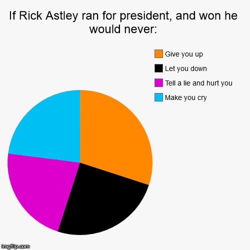Rick Astley for Prez | image tagged in funny,pie charts | made w/ Imgflip chart maker