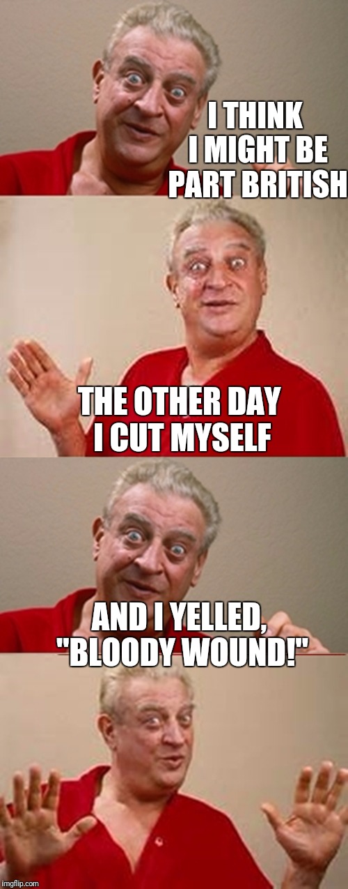 That Rodney Is Such A Cut-up | I THINK I MIGHT BE PART BRITISH; THE OTHER DAY I CUT MYSELF; AND I YELLED, "BLOODY WOUND!" | image tagged in bad pun rodney dangerfield,puns | made w/ Imgflip meme maker