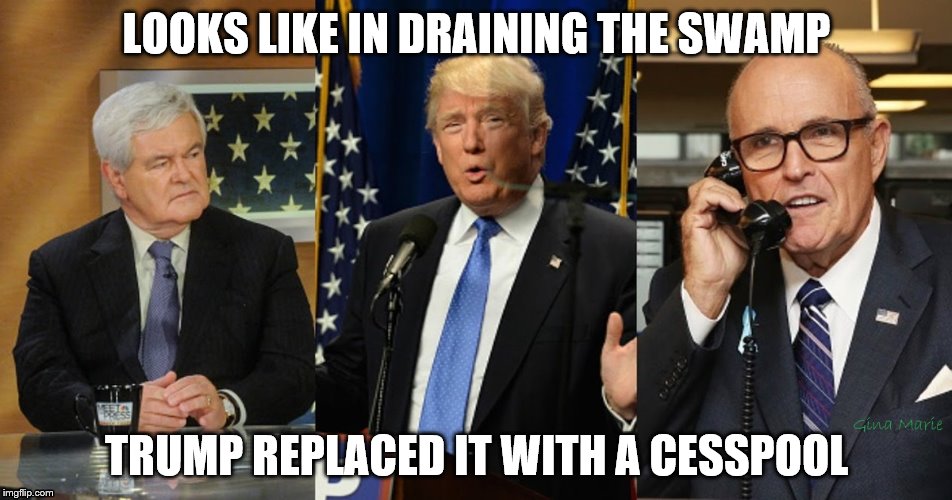 Trump Cabinet Picks From Swamp to Cesspool | LOOKS LIKE IN DRAINING THE SWAMP; TRUMP REPLACED IT WITH A CESSPOOL | image tagged in trump | made w/ Imgflip meme maker