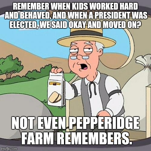 Pepperidge Farm Remembers | REMEMBER WHEN KIDS WORKED HARD AND BEHAVED, AND WHEN A PRESIDENT WAS ELECTED, WE SAID OKAY AND MOVED ON? NOT EVEN PEPPERIDGE FARM REMEMBERS. | image tagged in memes,pepperidge farm remembers | made w/ Imgflip meme maker