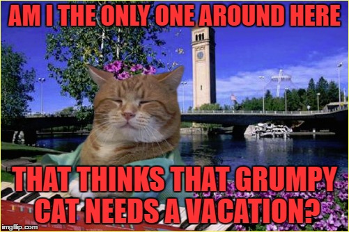 cat vacation | AM I THE ONLY ONE AROUND HERE; THAT THINKS THAT GRUMPY CAT NEEDS A VACATION? | image tagged in grumpy cat,vacation | made w/ Imgflip meme maker