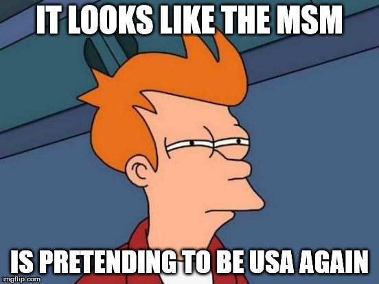 Futurama Fry Meme | IT LOOKS LIKE THE MSM IS PRETENDING TO BE USA AGAIN | image tagged in memes,futurama fry | made w/ Imgflip meme maker