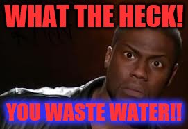 Kevin Hart Meme | WHAT THE HECK! YOU WASTE WATER!! | image tagged in memes,kevin hart the hell | made w/ Imgflip meme maker