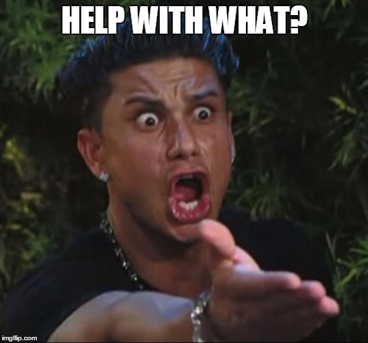 pauly | HELP WITH WHAT? | image tagged in pauly | made w/ Imgflip meme maker