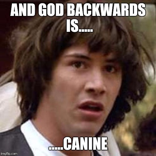 Conspiracy Keanu Meme | AND GOD BACKWARDS IS..... .....CANINE | image tagged in memes,conspiracy keanu | made w/ Imgflip meme maker