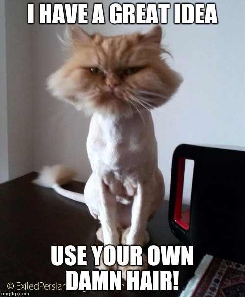 Shaved Pussy Cat | I HAVE A GREAT IDEA USE YOUR OWN DAMN HAIR! | image tagged in shaved pussy cat | made w/ Imgflip meme maker
