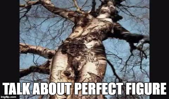 Mother Nature is truly perfect in every way | TALK ABOUT PERFECT FIGURE | image tagged in tree,perfect,mother nature | made w/ Imgflip meme maker