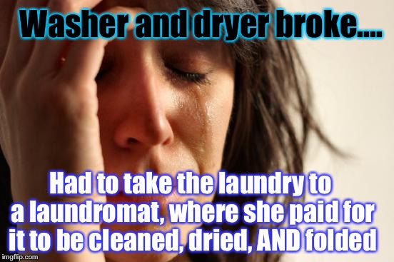 My Neighbor, When I Got Home From Work...True Story: | Washer and dryer broke.... Had to take the laundry to a laundromat, where she paid for it to be cleaned, dried, AND folded | image tagged in memes,first world problems | made w/ Imgflip meme maker