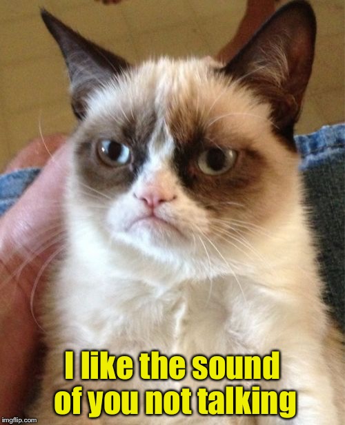 Grumpy Cat | I like the sound of you not talking | image tagged in memes,grumpy cat | made w/ Imgflip meme maker