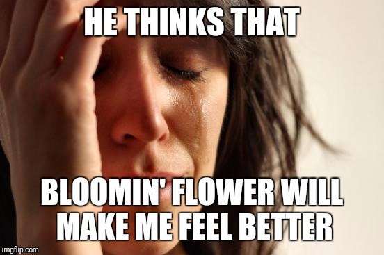 First World Problems Meme | HE THINKS THAT BLOOMIN' FLOWER WILL MAKE ME FEEL BETTER | image tagged in memes,first world problems | made w/ Imgflip meme maker