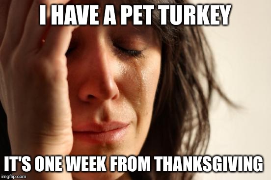 First World Problems Meme | I HAVE A PET TURKEY; IT'S ONE WEEK FROM THANKSGIVING | image tagged in memes,first world problems | made w/ Imgflip meme maker