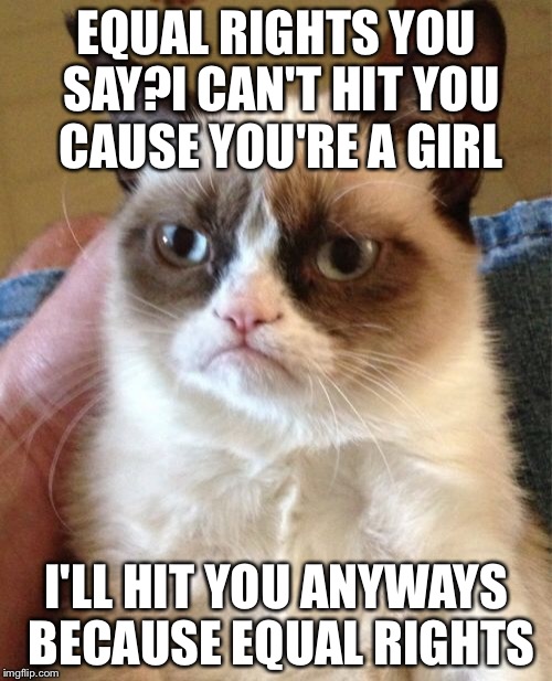 EQUAL RIGHTS YOU SAY?I CAN'T HIT YOU CAUSE YOU'RE A GIRL I'LL HIT YOU ANYWAYS BECAUSE EQUAL RIGHTS | image tagged in memes,grumpy cat | made w/ Imgflip meme maker