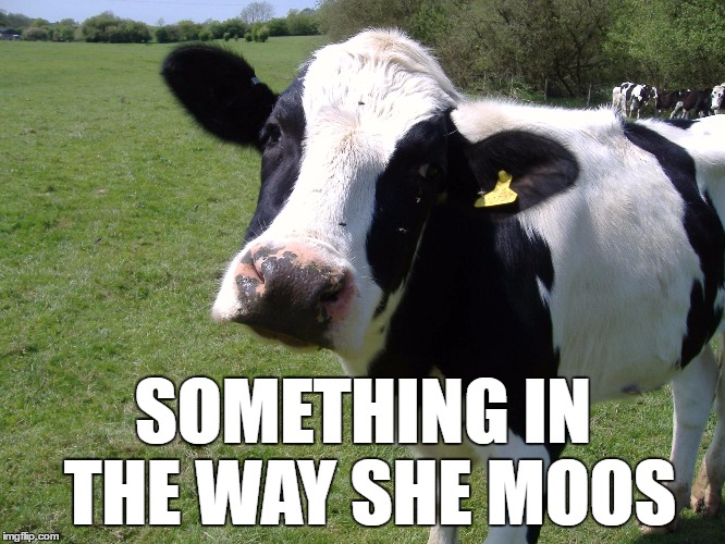 Udder Soul | SOMETHING IN THE WAY SHE MOOS | image tagged in beatles,george harrison,something,cows,moo | made w/ Imgflip meme maker
