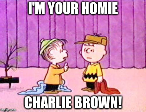 Wherr my homies at? | I'M YOUR HOMIE; CHARLIE BROWN! | image tagged in charlie brown and linus | made w/ Imgflip meme maker