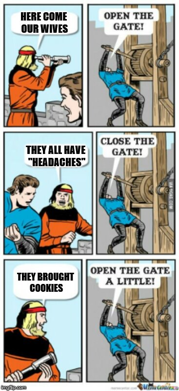 Open the gate a little | HERE COME OUR WIVES; THEY ALL HAVE "HEADACHES"; THEY BROUGHT COOKIES | image tagged in open the gate a little | made w/ Imgflip meme maker