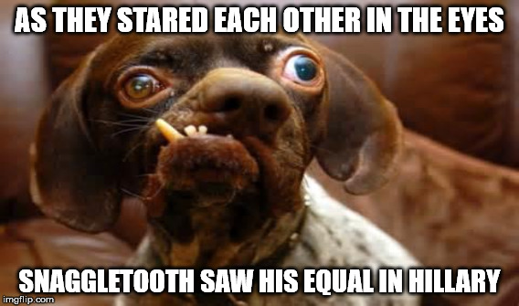 AS THEY STARED EACH OTHER IN THE EYES SNAGGLETOOTH SAW HIS EQUAL IN HILLARY | made w/ Imgflip meme maker