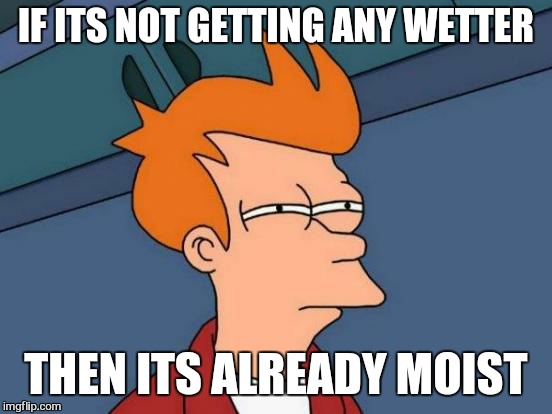 Towelettes  | IF ITS NOT GETTING ANY WETTER; THEN ITS ALREADY MOIST | image tagged in memes,futurama fry,first world problems | made w/ Imgflip meme maker