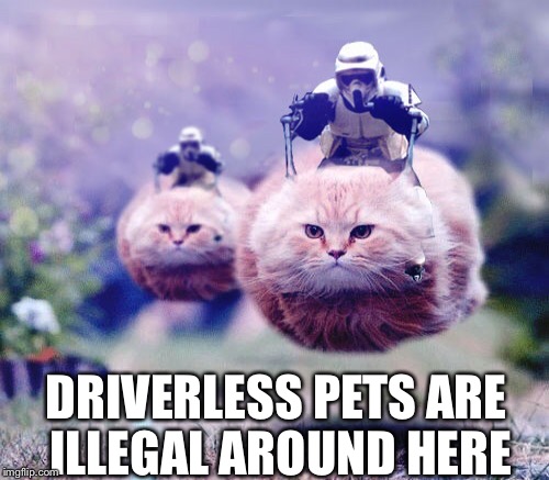 DRIVERLESS PETS ARE ILLEGAL AROUND HERE | made w/ Imgflip meme maker