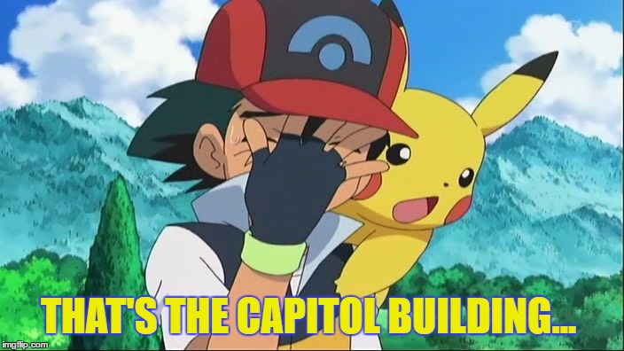 Ash Ketchum Facepalm | THAT'S THE CAPITOL BUILDING... | image tagged in ash ketchum facepalm | made w/ Imgflip meme maker