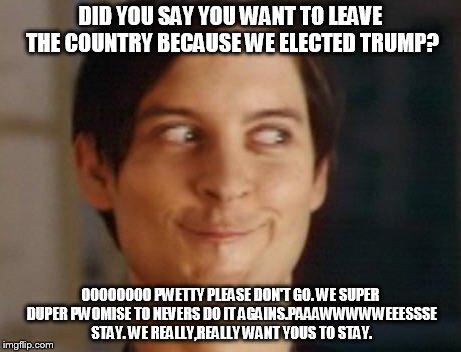 Sarcastic Conservative | DID YOU SAY YOU WANT TO LEAVE THE COUNTRY BECAUSE WE ELECTED TRUMP? OOOOOOOO PWETTY PLEASE DON'T GO. WE SUPER DUPER PWOMISE TO NEVERS DO IT AGAINS.PAAAWWWWWEEESSSE STAY. WE REALLY,REALLY WANT YOUS TO STAY. | image tagged in memes,funny,donald trump,election 2016,politics,secession | made w/ Imgflip meme maker