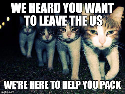 Wrong Neighboorhood Cats Meme | WE HEARD YOU WANT TO LEAVE THE US; WE'RE HERE TO HELP YOU PACK | image tagged in memes,wrong neighboorhood cats | made w/ Imgflip meme maker