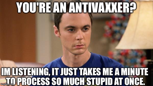 Sheldon Logic |  YOU'RE AN ANTIVAXXER? IM LISTENING, IT JUST TAKES ME A MINUTE TO PROCESS SO MUCH STUPID AT ONCE. | image tagged in sheldon logic | made w/ Imgflip meme maker