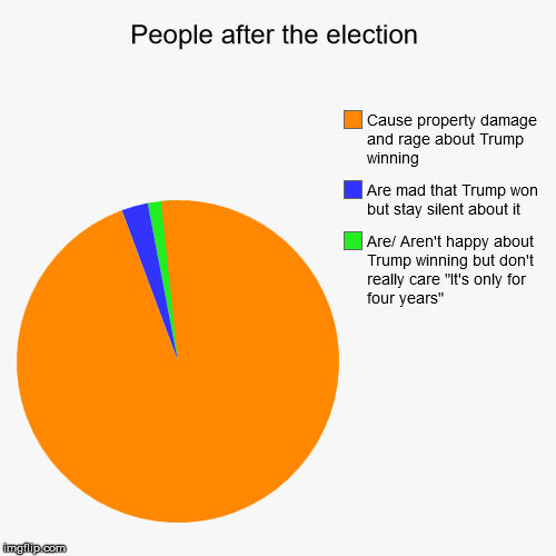 Election Memes are Over Done Now | image tagged in funny,pie charts | made w/ Imgflip chart maker