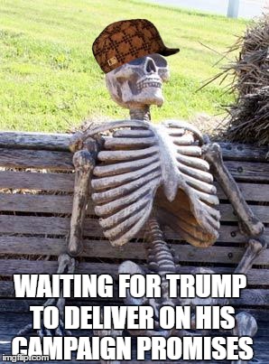 Waiting Skeleton | WAITING FOR TRUMP TO DELIVER ON HIS CAMPAIGN PROMISES | image tagged in memes,waiting skeleton,scumbag | made w/ Imgflip meme maker